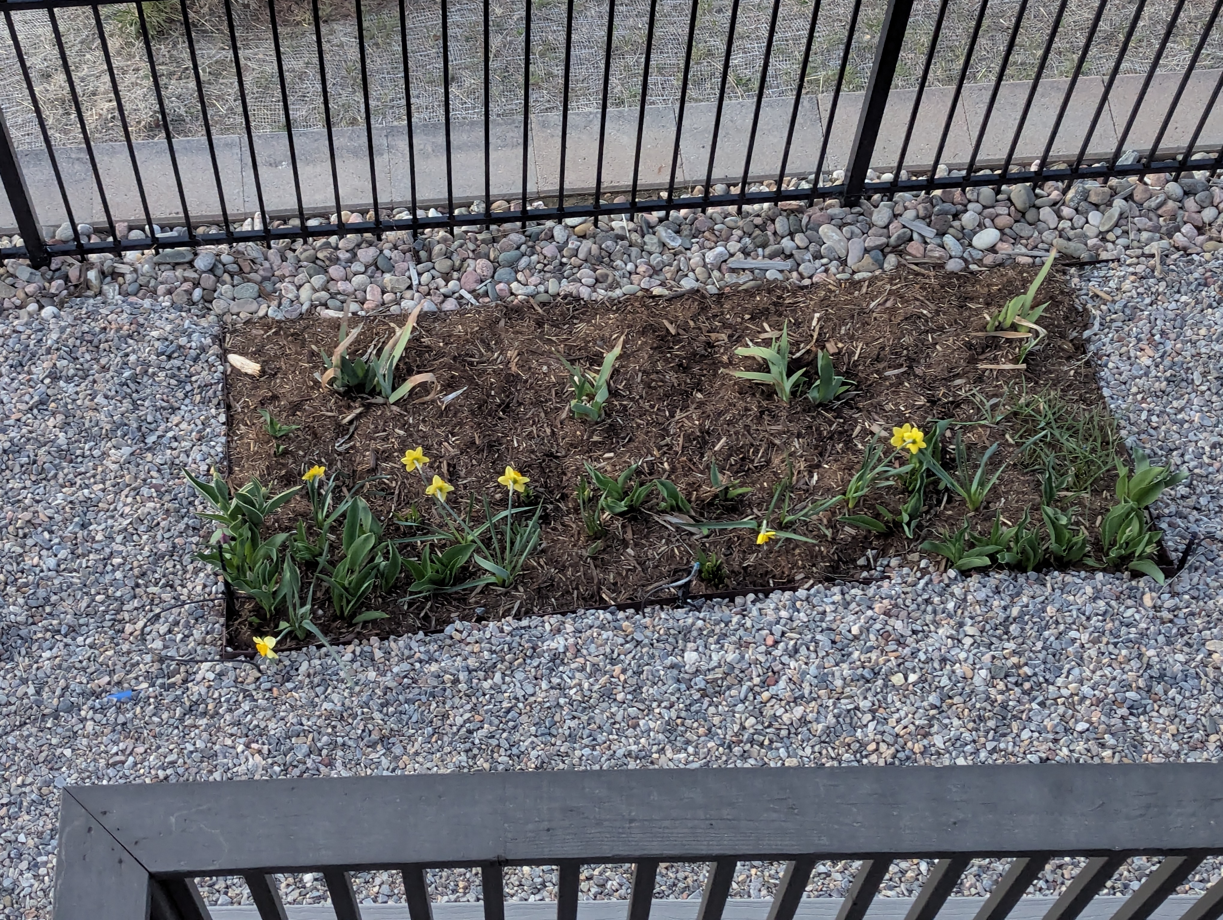 Easter, Morrison, Colorado